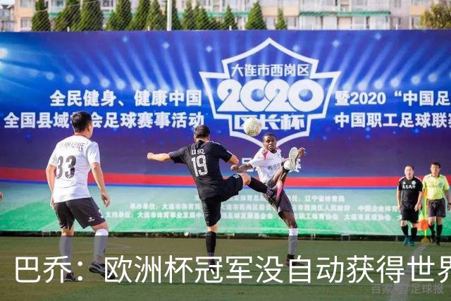 巴乔：欧洲杯冠军没自动获得世界杯资格 这是耻辱